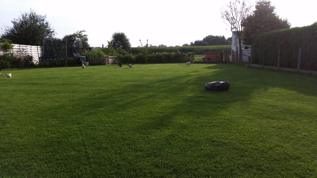 Kleine-tuinen-Grasrobots