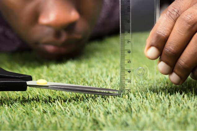 wat is de ideale maaihoogte van jouw gazon