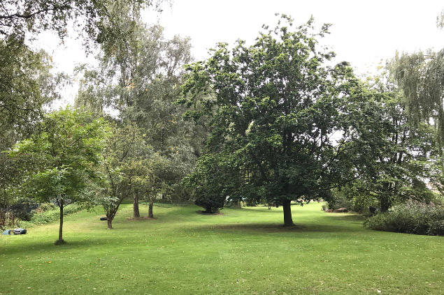 wat is de ideale maaihoogte van jouw gazon