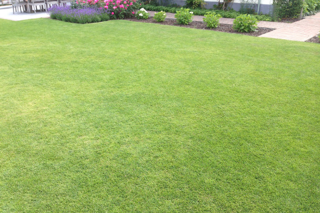 wat is de ideale maaihoogte van jouw gazon