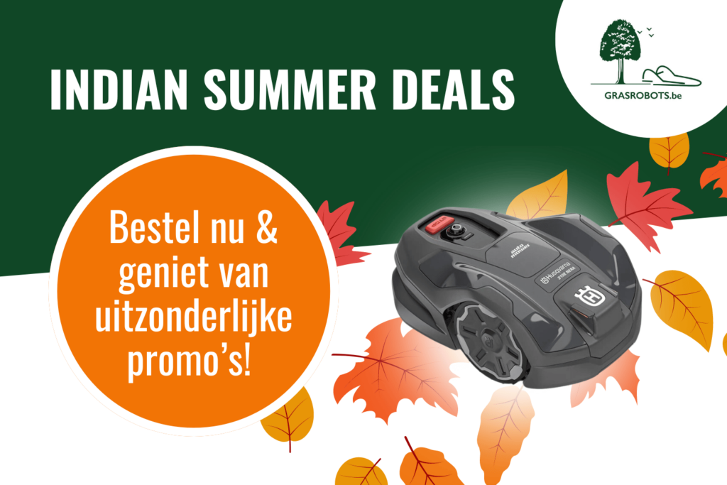 Indian Summer deals 2024